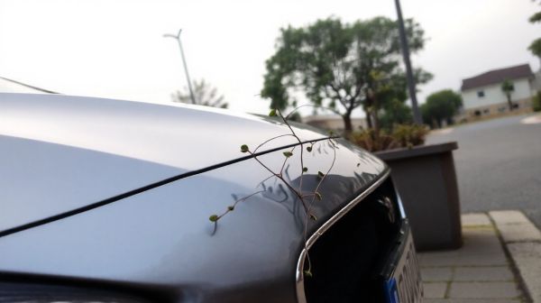 Top stratégies pour faire baisser le coût de votre assurance auto